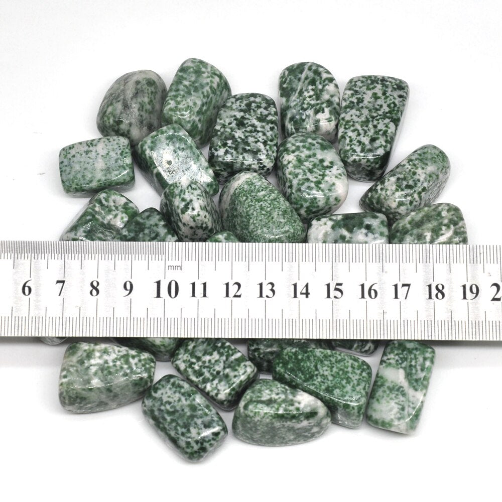 Tree Agate Tumbles 50g