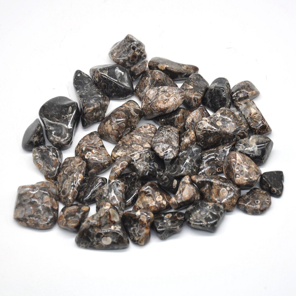 Turritella Agate Tumbles 100g