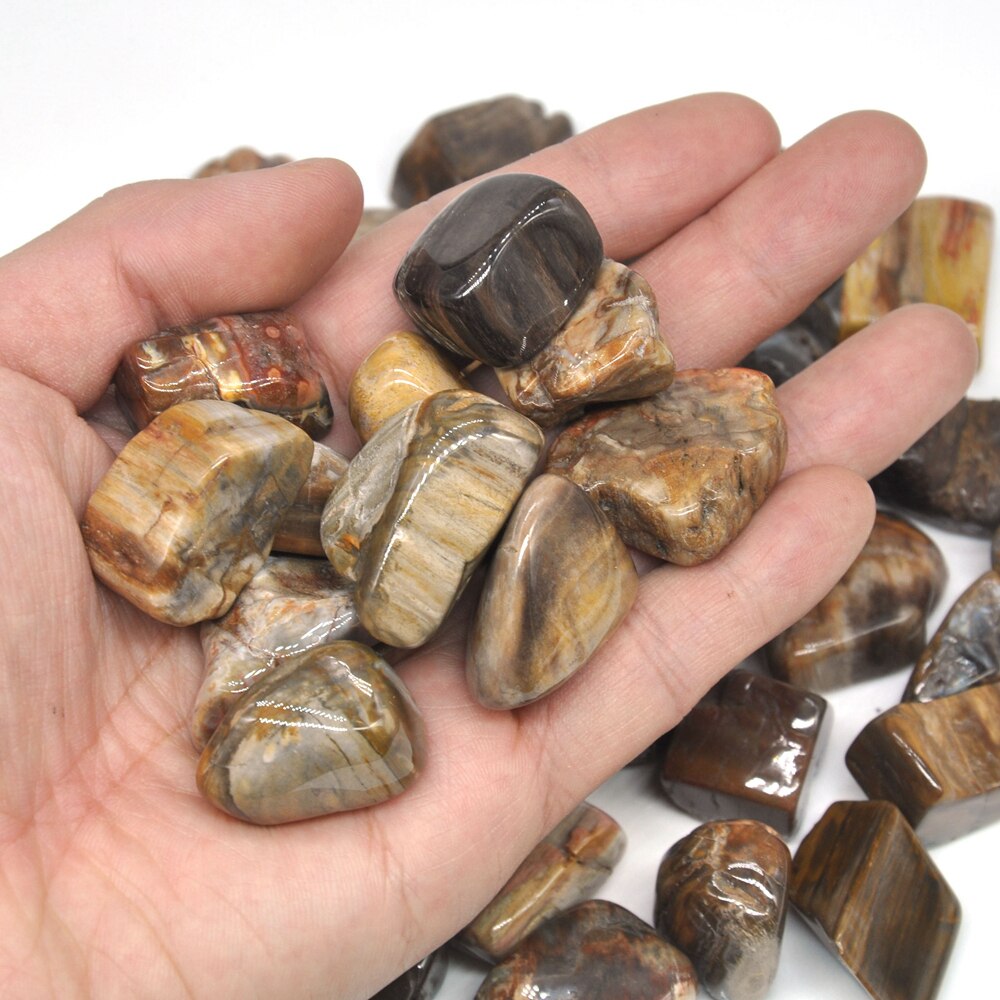 Petrified Wood Tumbles 100g