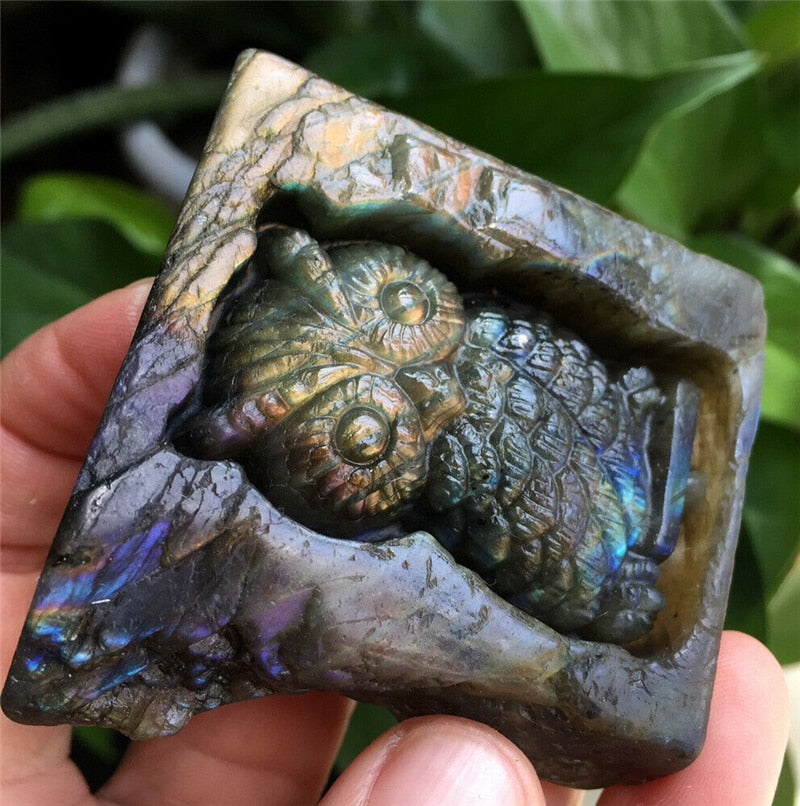 Owl/Dino Labradorite Block Carving