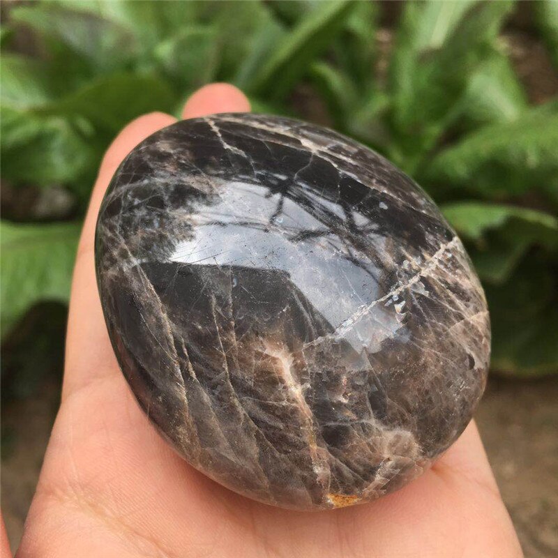 Black Moonstone Palm Stone