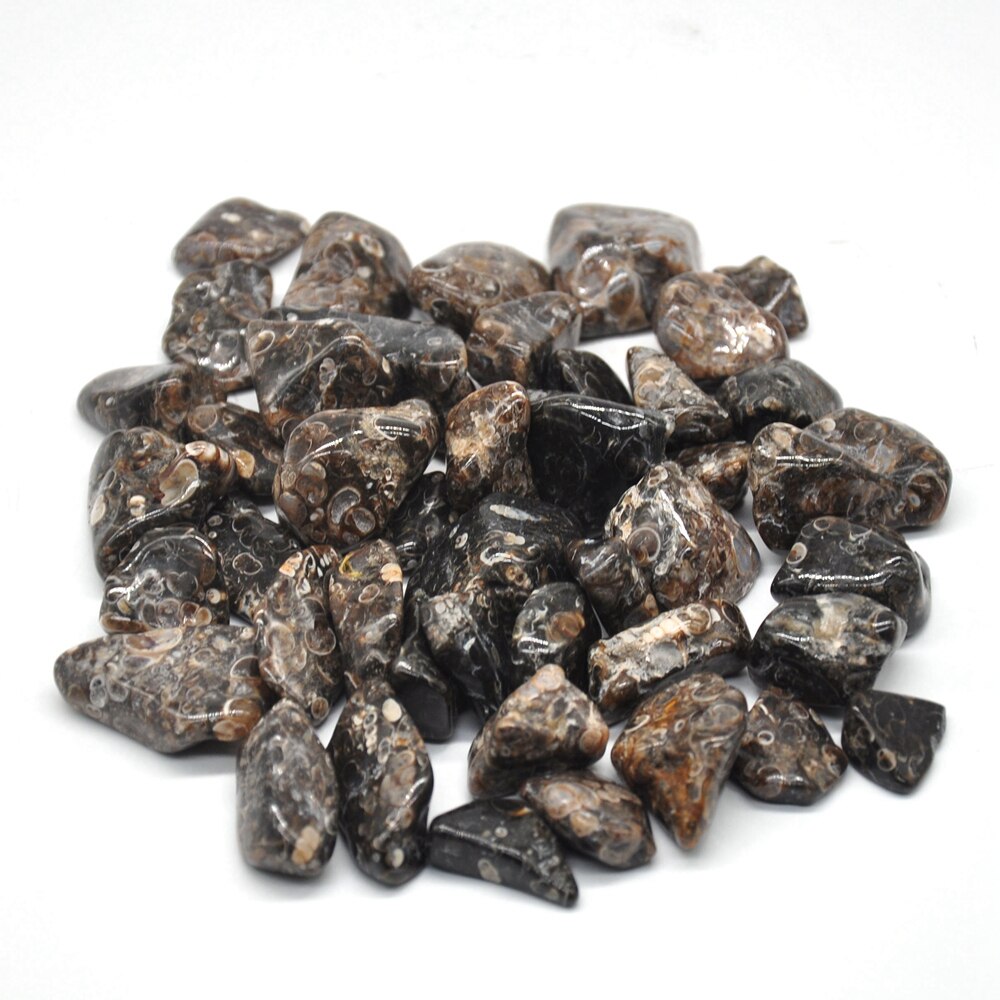 Turritella Agate Tumbles 100g