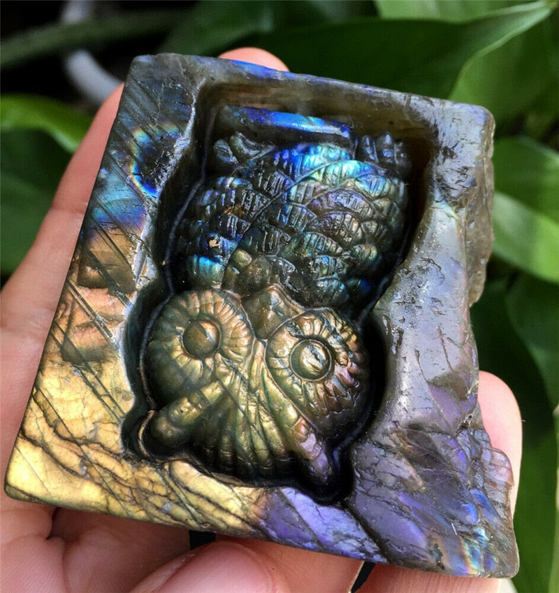 Owl/Dino Labradorite Block Carving