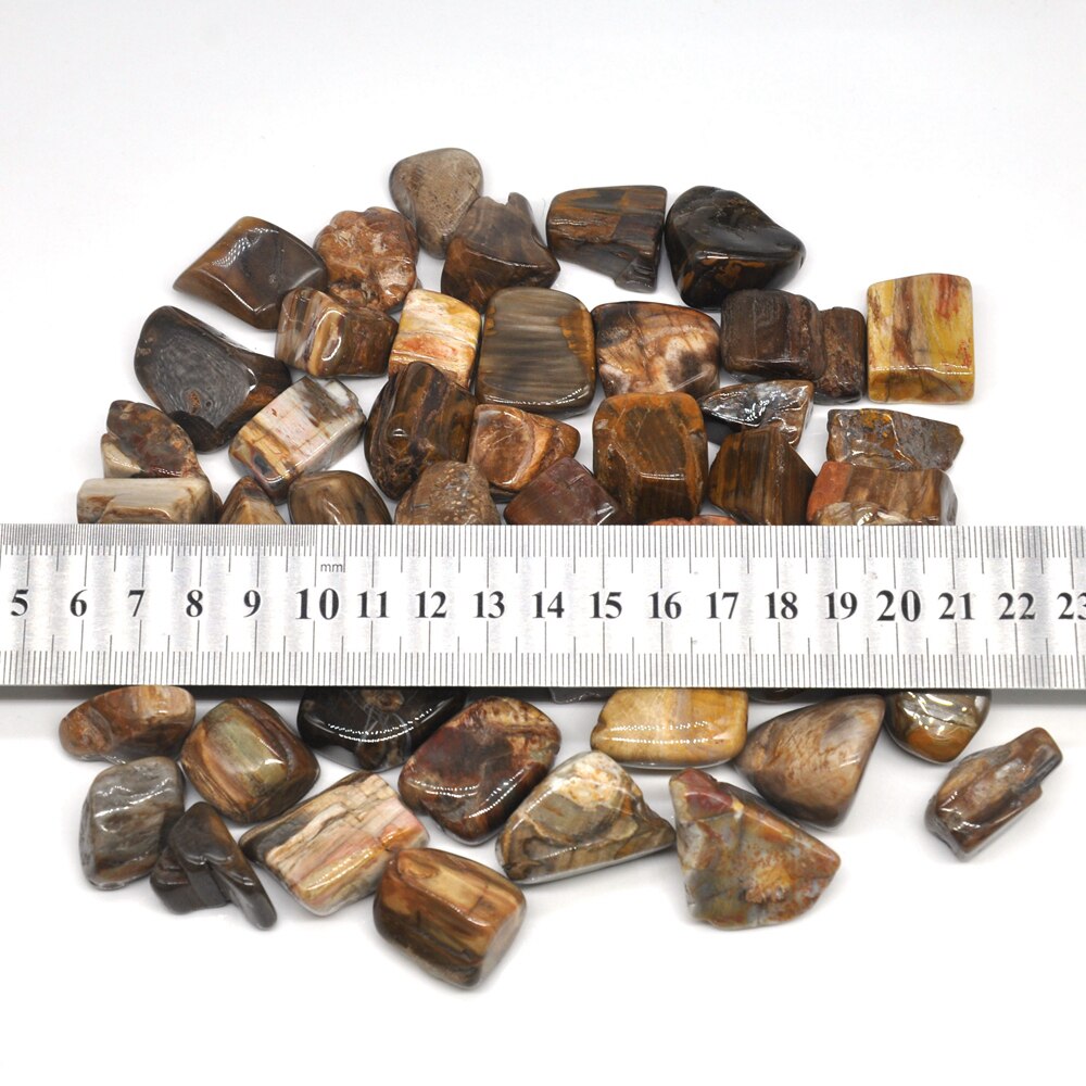 Petrified Wood Tumbles 100g