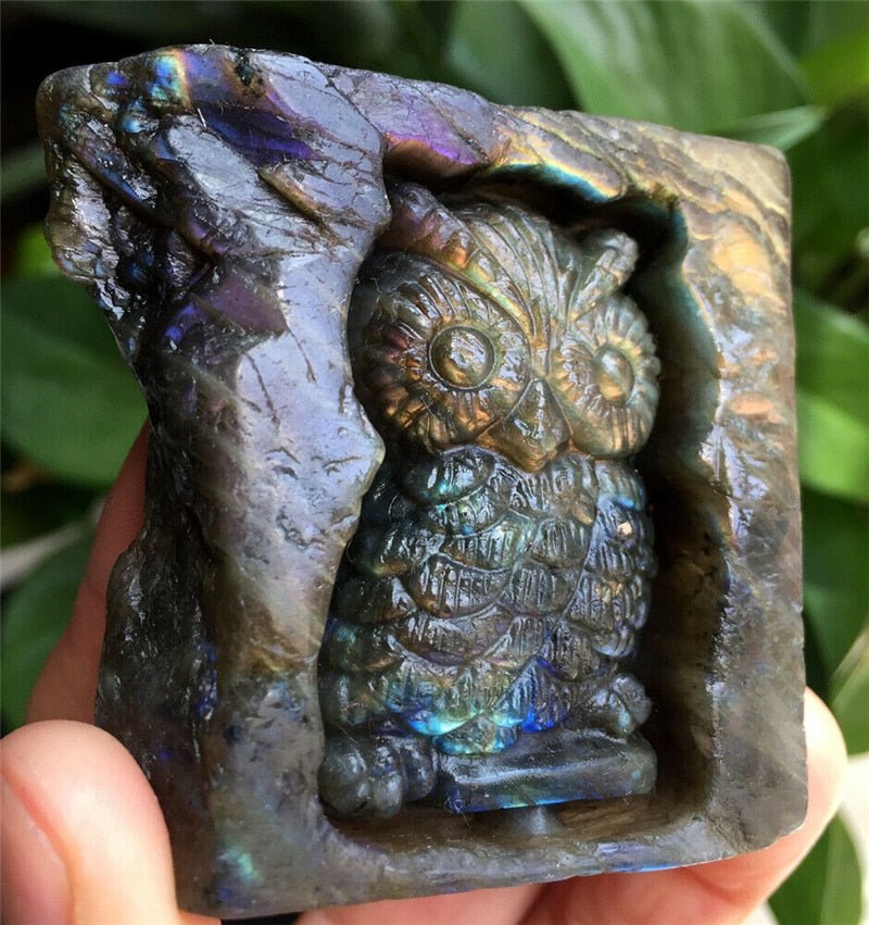 Owl/Dino Labradorite Block Carving