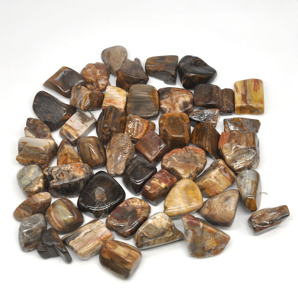 Petrified Wood Tumbles 100g