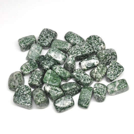 Tree Agate Tumbles 50g