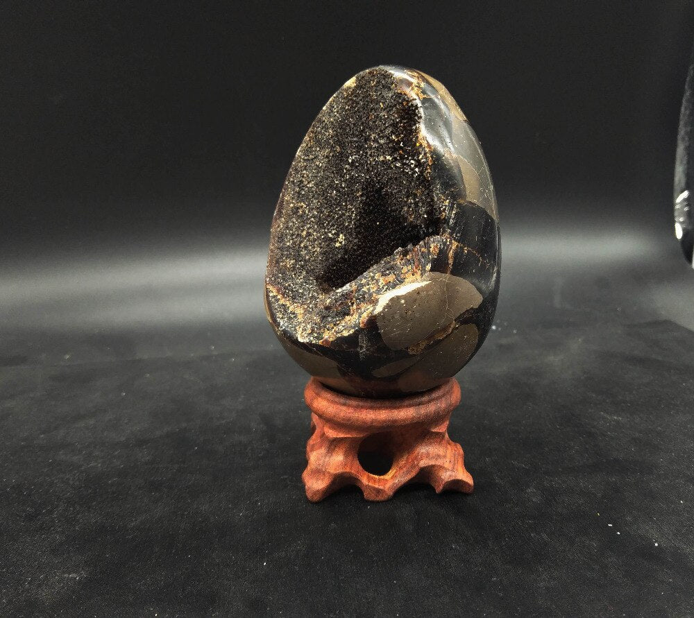 Septarian Geode Egg Specimen