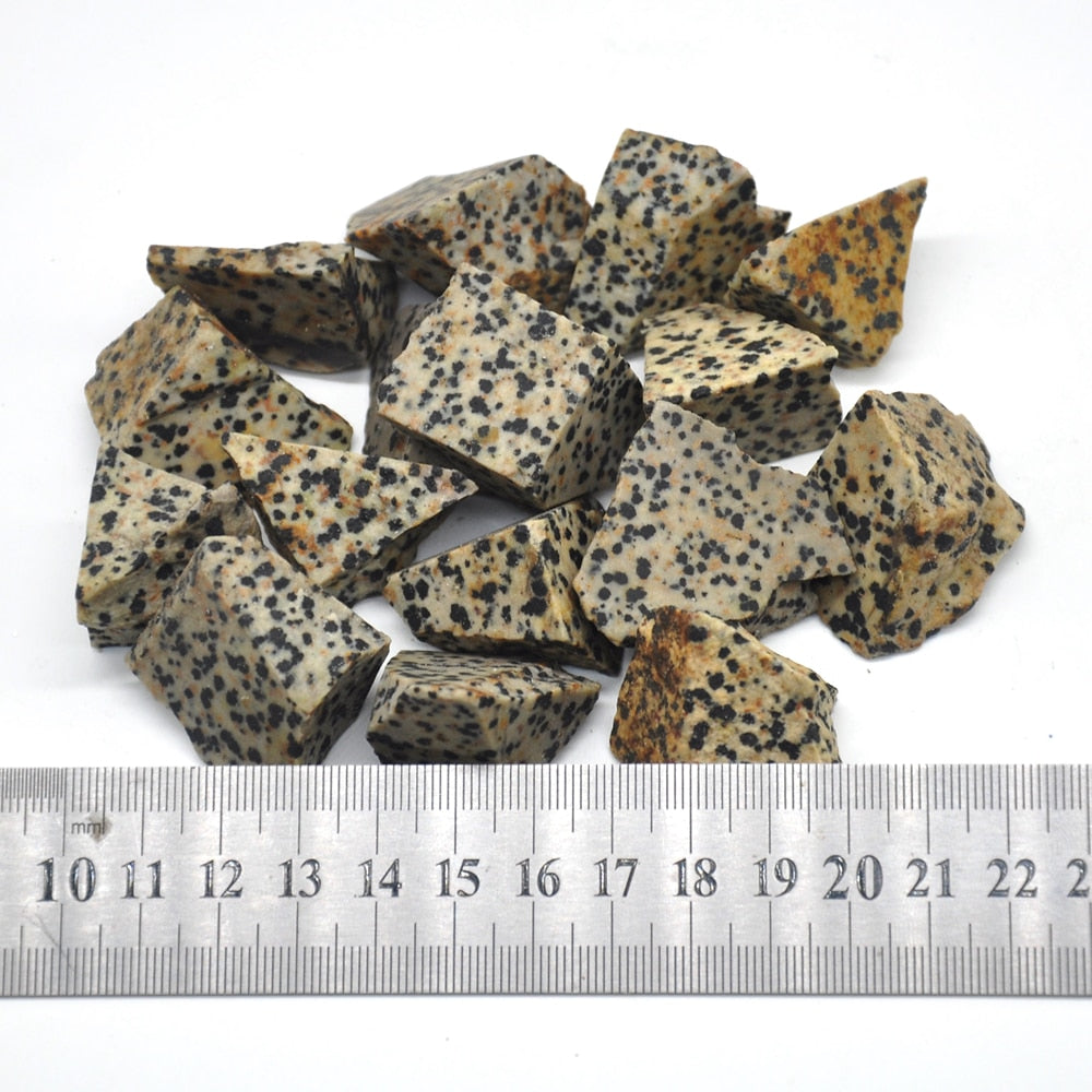 Dalmatian Jasper Rough Chunks 1/2 lb