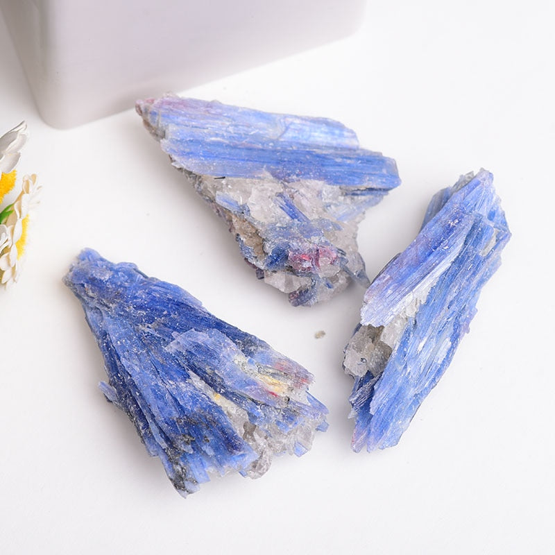 Raw Blue Kyanite in Quartz Specimen