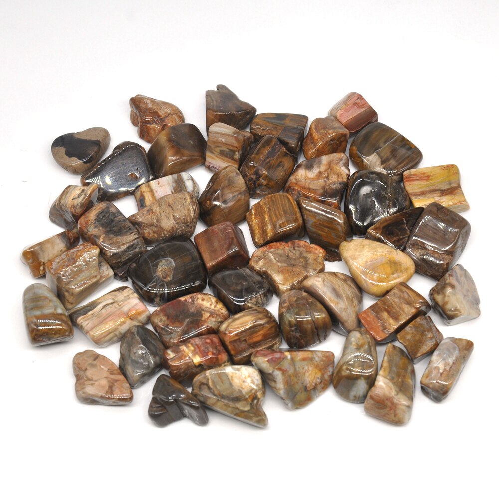 Petrified Wood Tumbles 100g