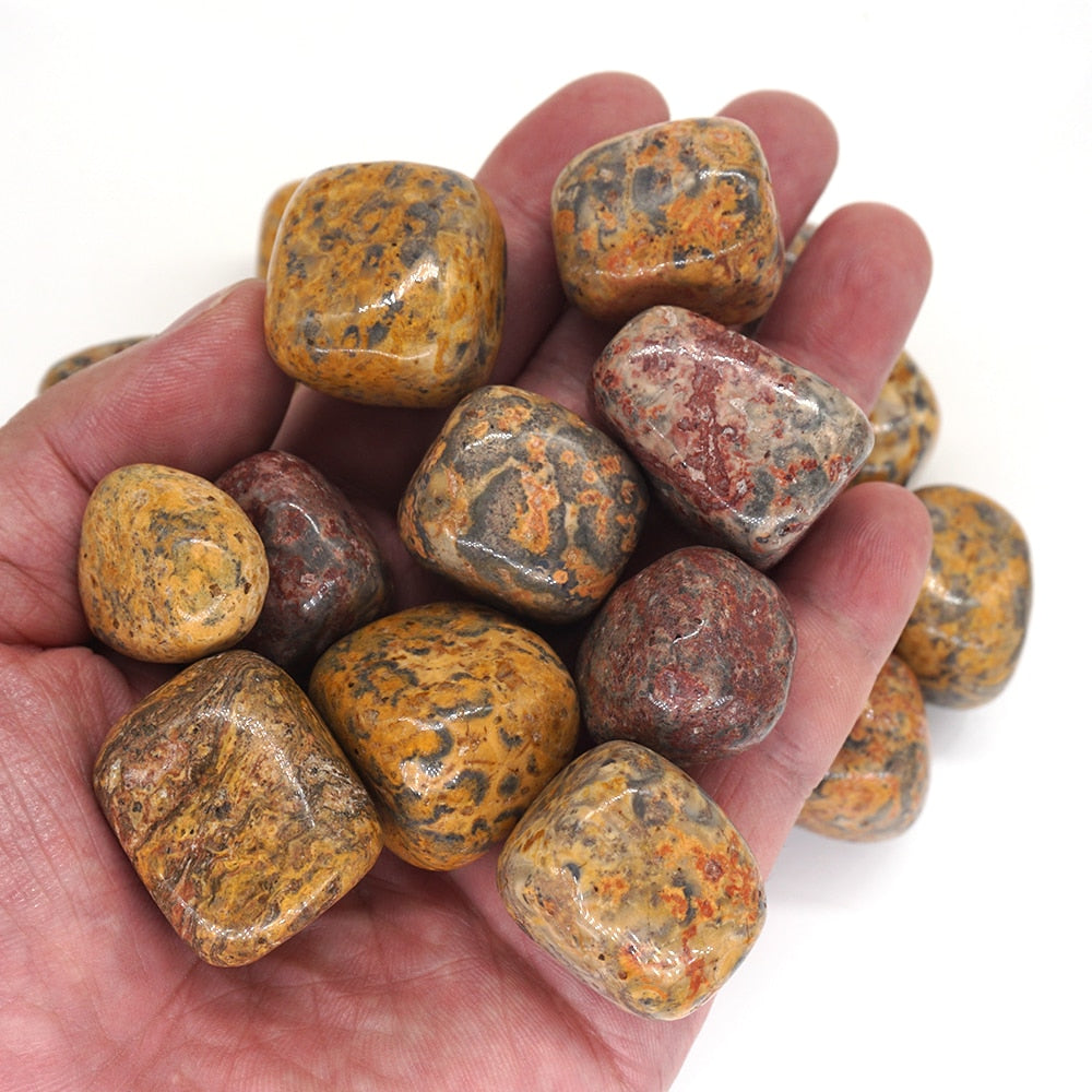 Leopard Skin Jasper Tumbles