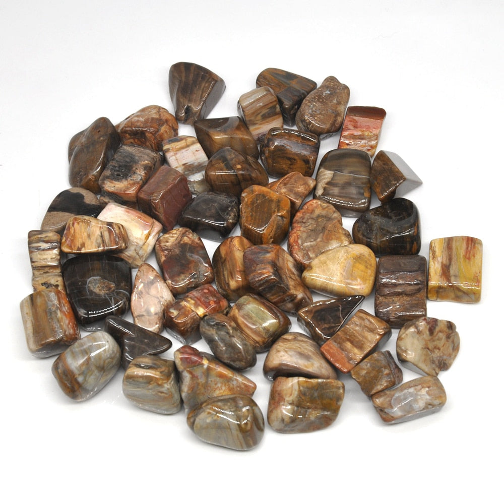 Petrified Wood Tumbles 100g