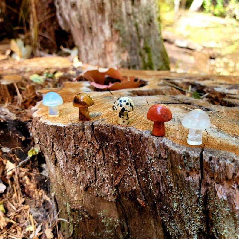 Hand Carved Crystal Mushrooms