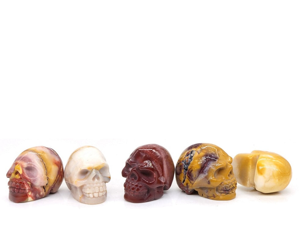 5 Piece Set Skulls