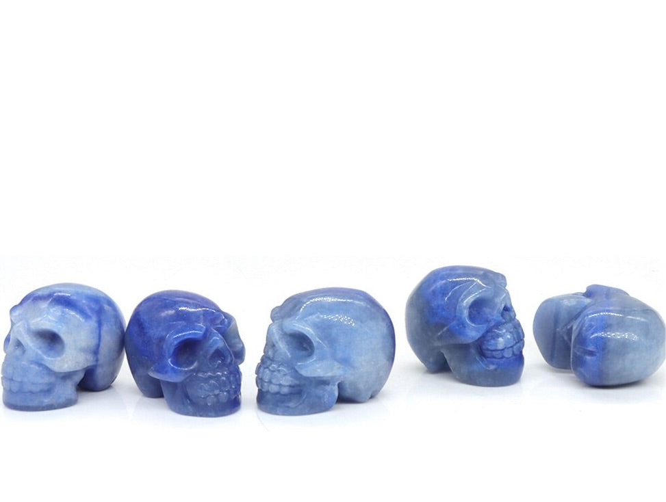 5 Piece Set Skulls