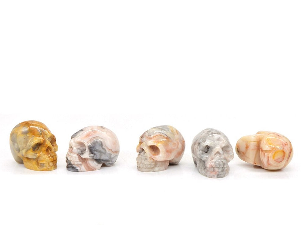 5 Piece Set Skulls