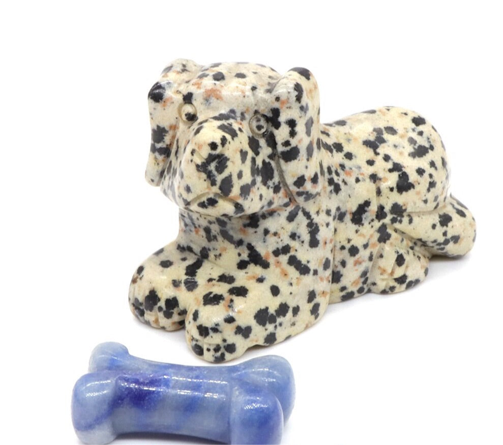 Dalmation Jasper Dog & Bone Set