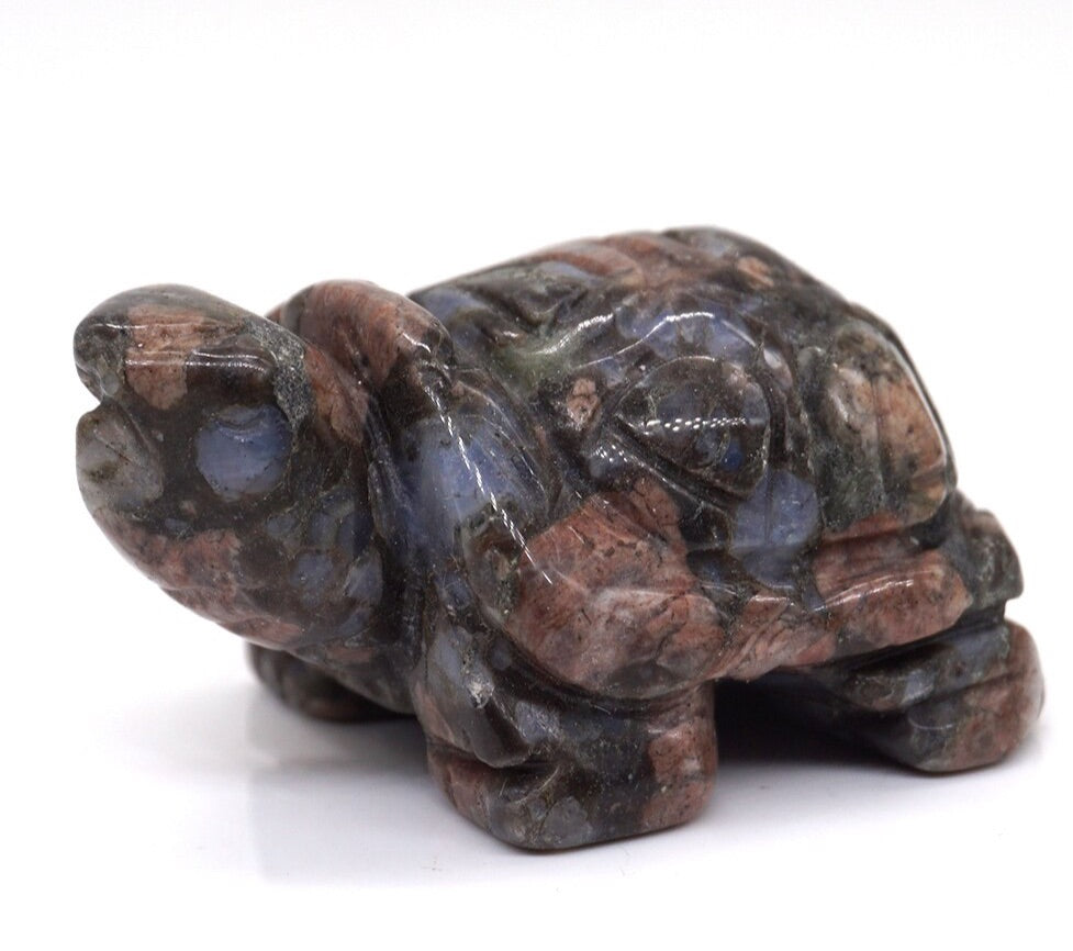 Hand Carved Turtles