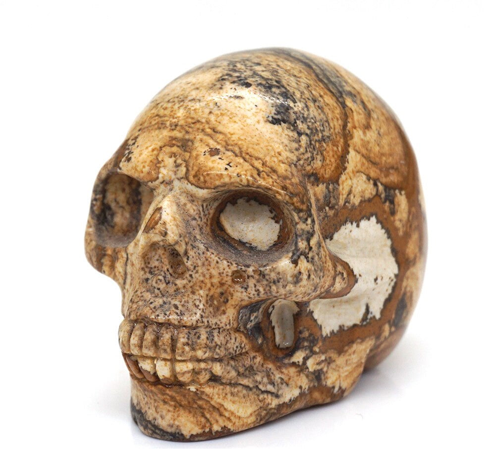 Hand Carved Skull Carvings 2"