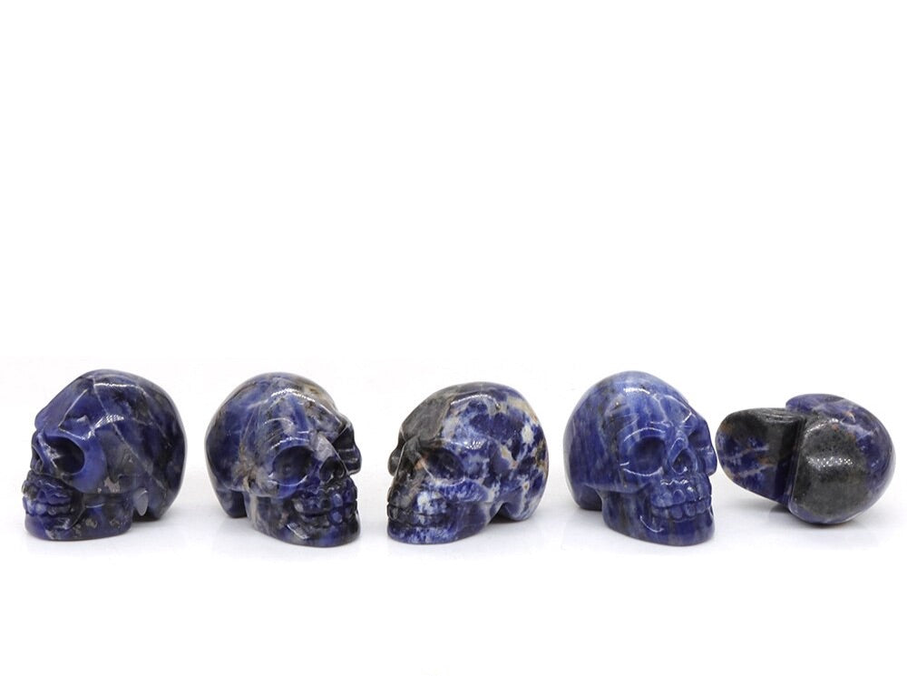 5 Piece Set Skulls