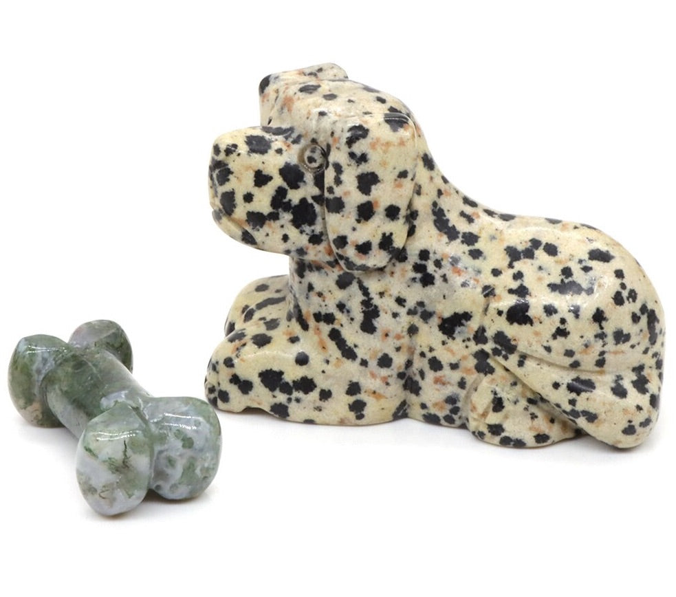 Dalmation Jasper Dog & Bone Set