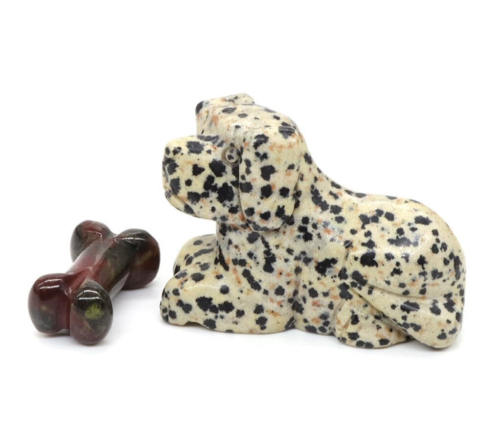 Dalmation Jasper Dog & Bone Set